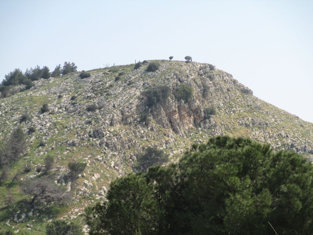 Photo №3 of Mount Precipice