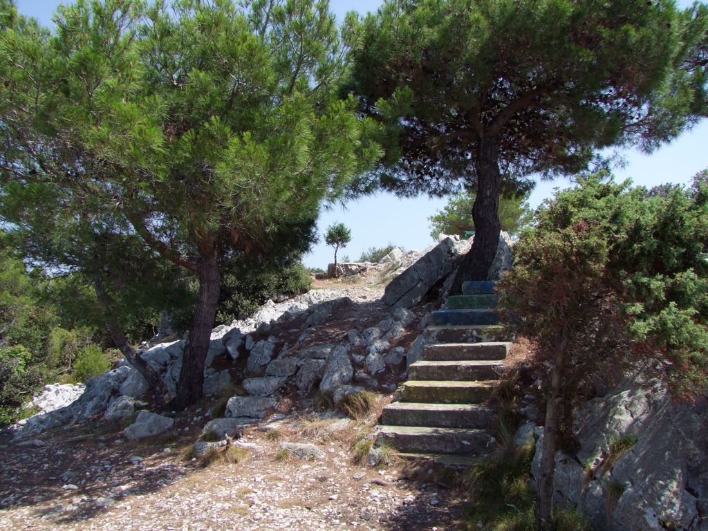 Photo №2 of Vela Straža