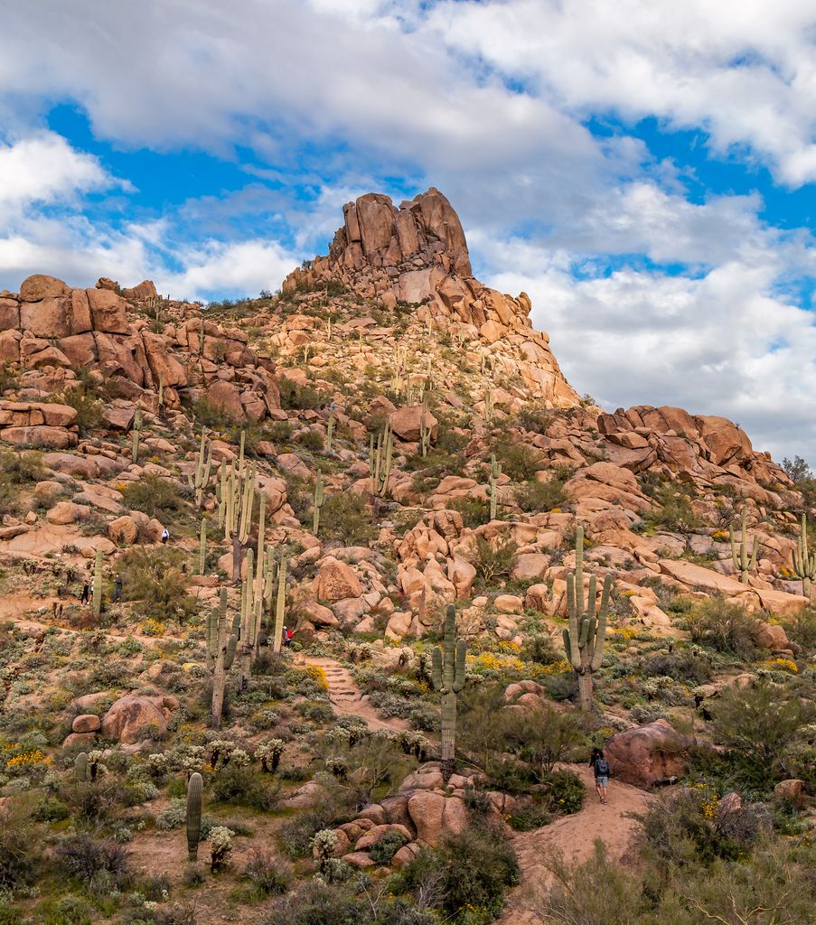 Pinnacle Peak