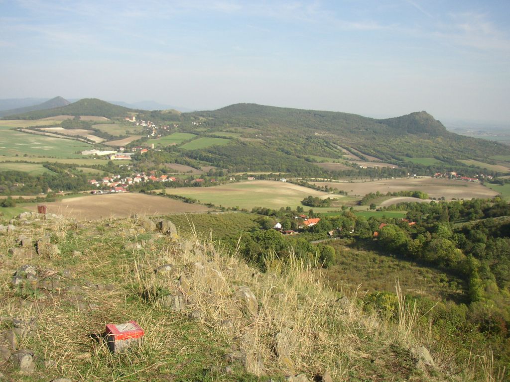 Plešivec