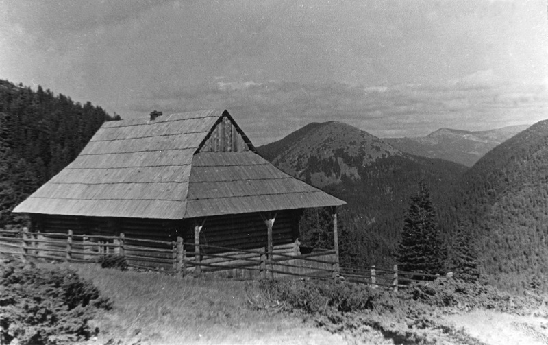 Plisce1935