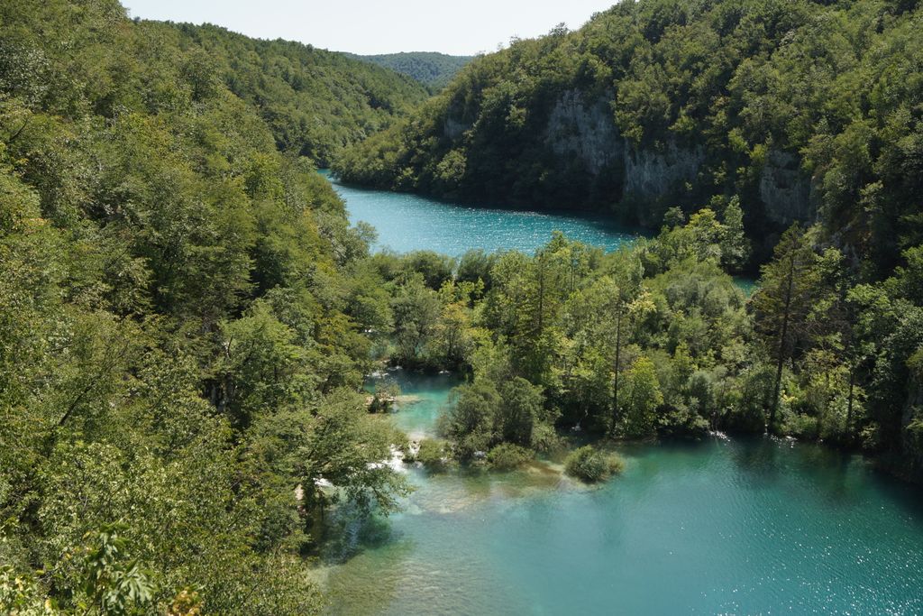 Gavanovac