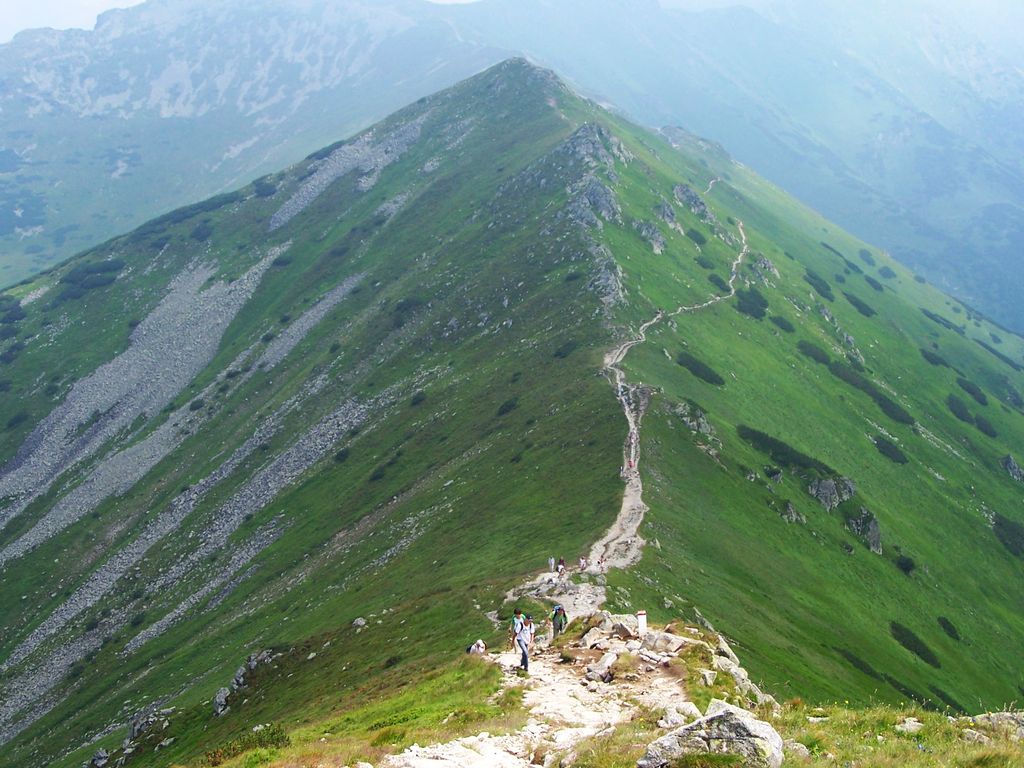 Photo №3 of Goryczkowa Przełęcz Świńska / Horičkovo sedlo Svinické