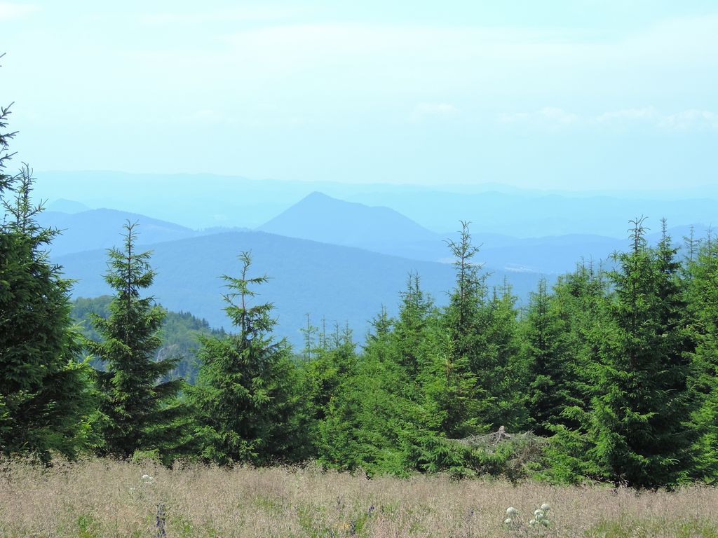 Photo №4 of Medzirozsutce