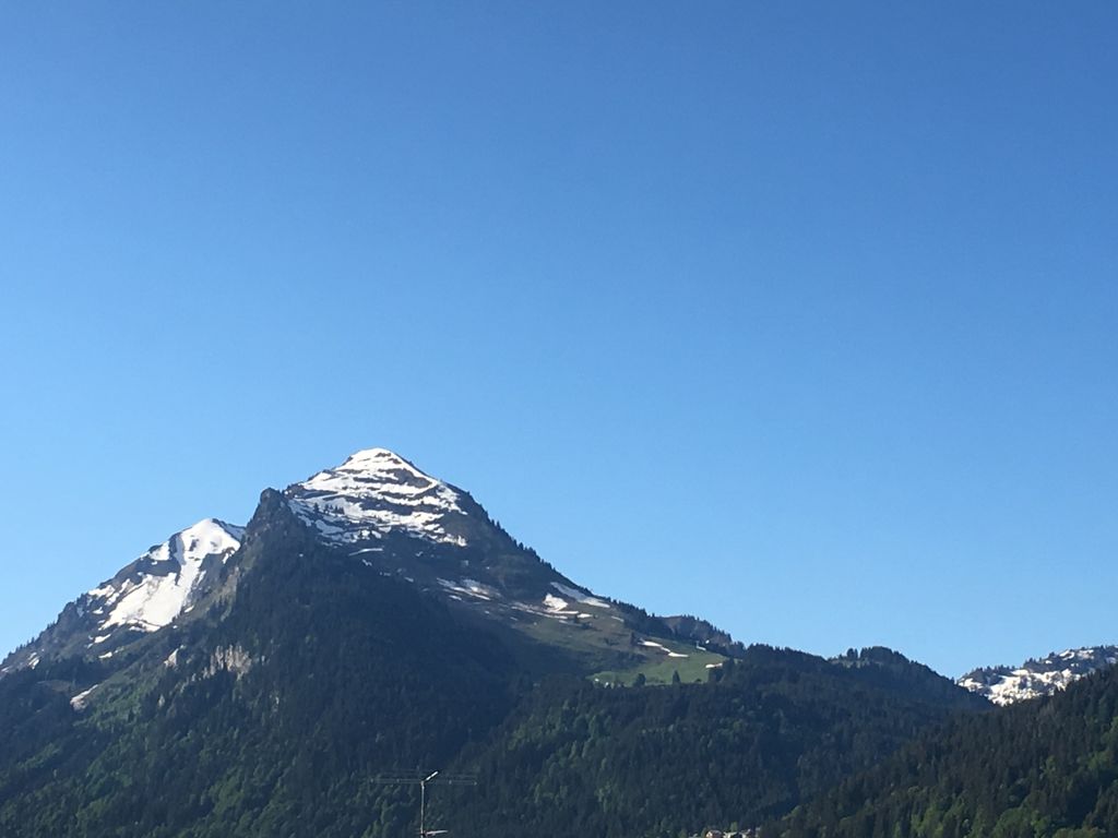 Photo №2 of Pointe de Nyon