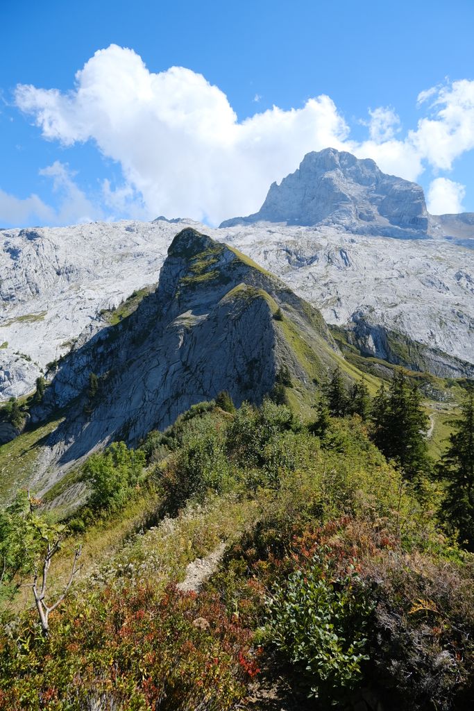 Photo №7 of Pointe des Delevrets