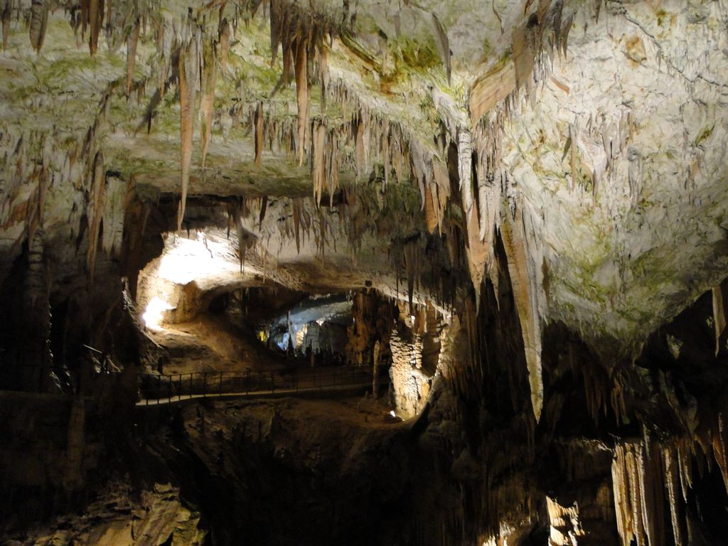 Postojnska_Jama_(Postojna_Cave)_-_panoramio_(15)
