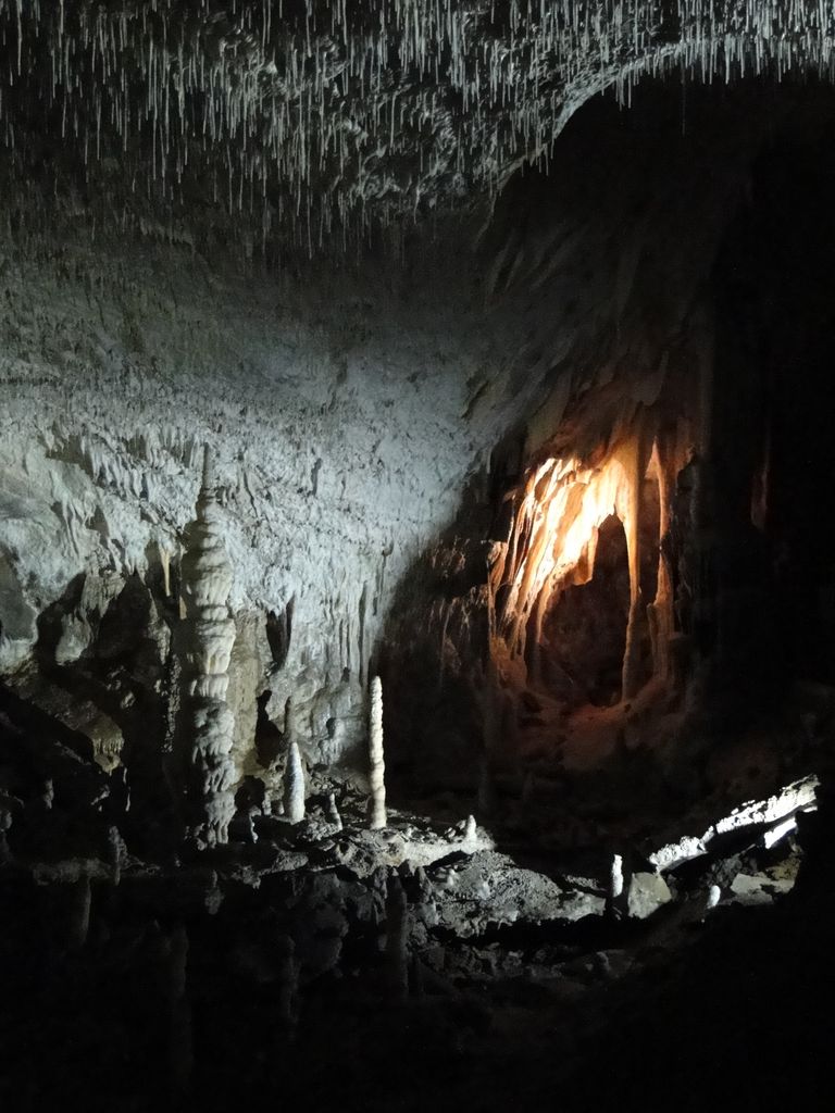 Postojnska_Jama_(Postojna_Cave)_-_panoramio_(22)