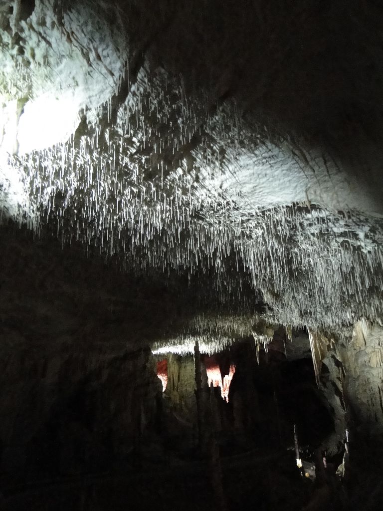 Postojnska_Jama_(Postojna_Cave)_-_panoramio_(24)