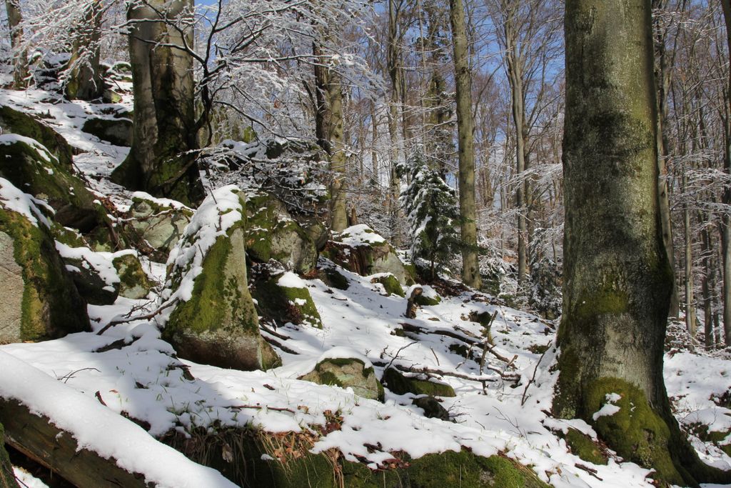 Photo №8 of Vysoký kámen