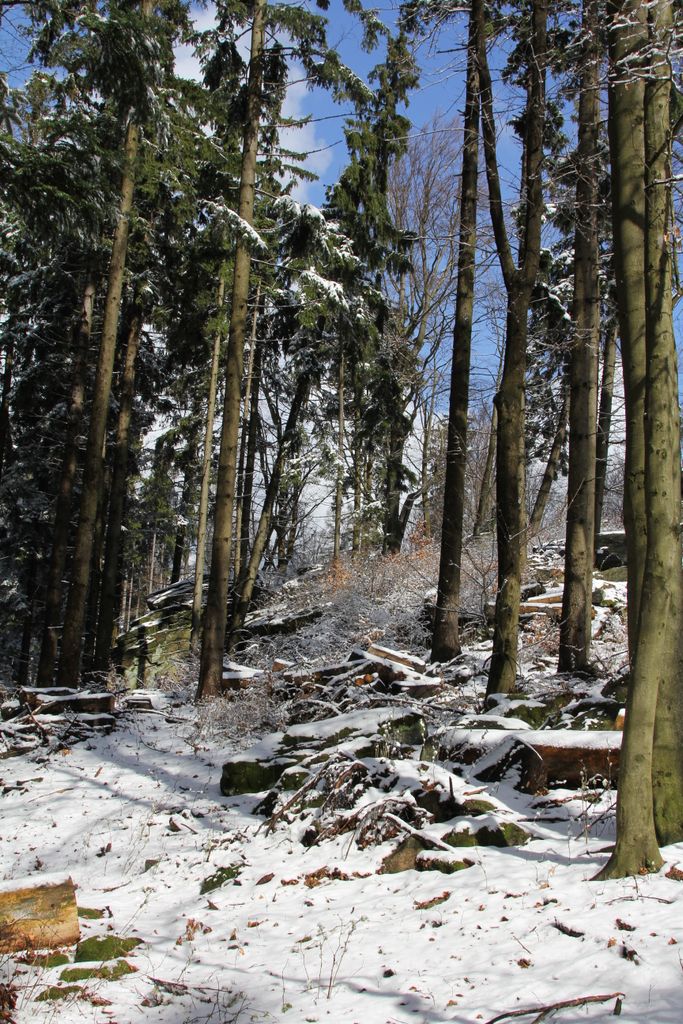 Photo №7 of Vysoký kámen