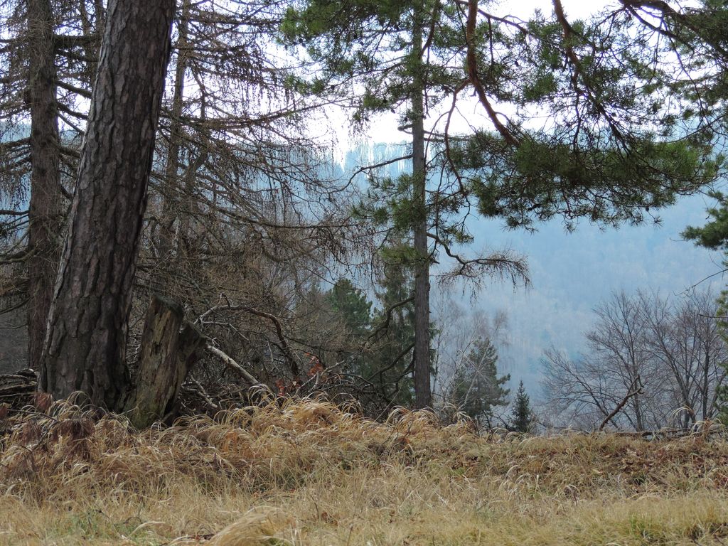 Photo №2 of Prielohy