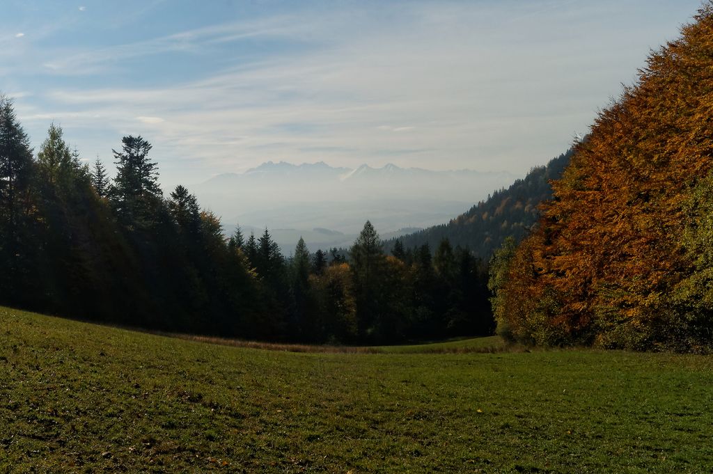 Photo №4 of Przełęcz Szopka