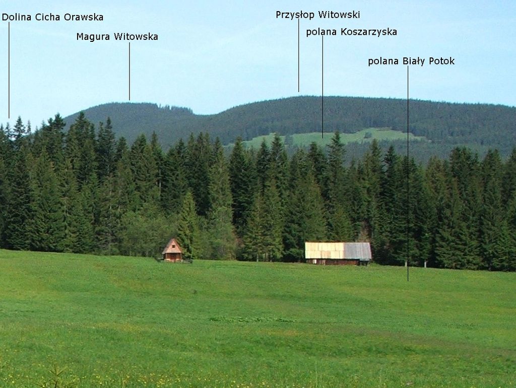 Photo №3 of Witowski Przysłop