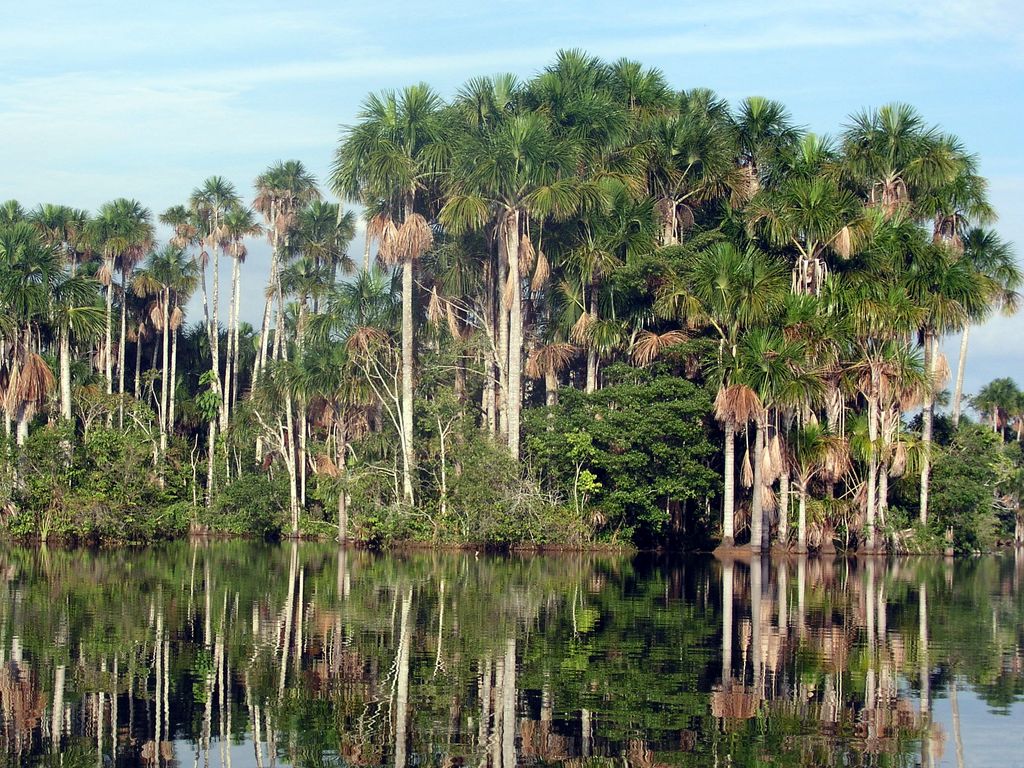 Photo №2 of Lake Sandoval