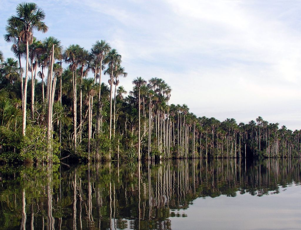 Photo №3 of Lake Sandoval