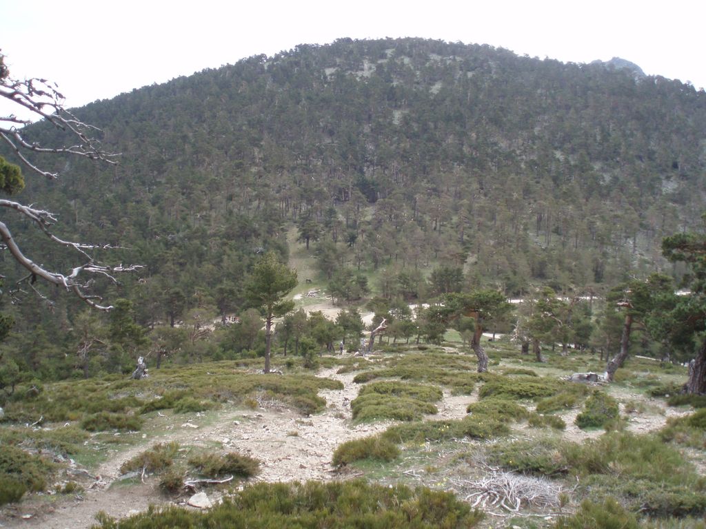 Photo №2 of Puerto de la Fuenfría