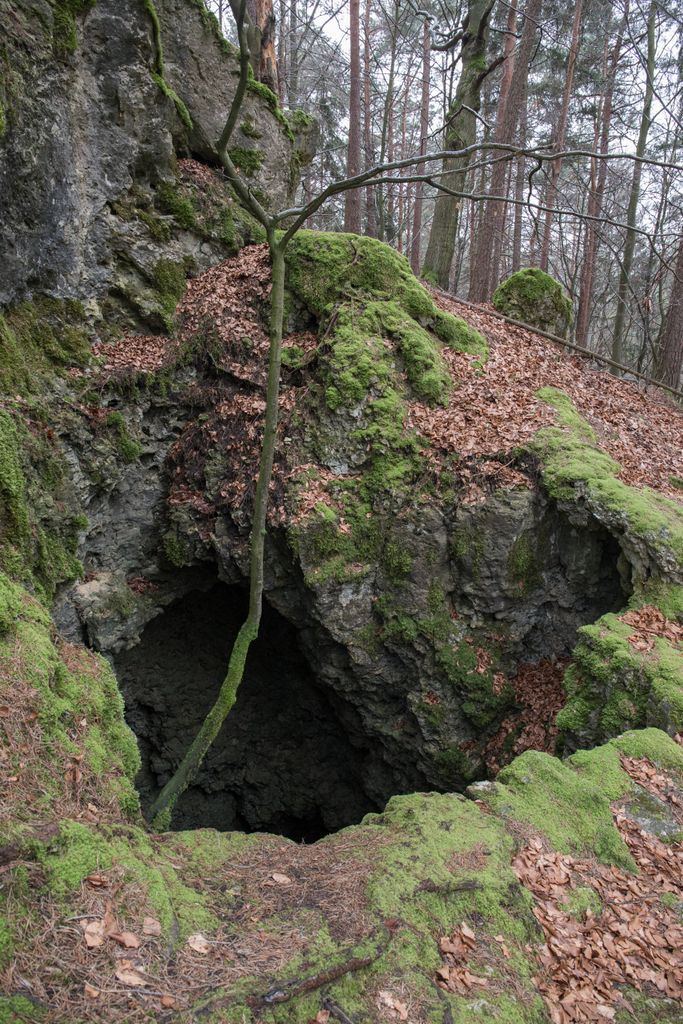 Photo №2 of Pumperberg