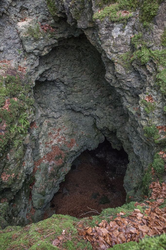 Photo №3 of Pumperberg