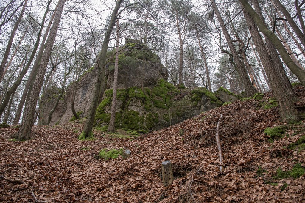 Photo №4 of Pumperberg