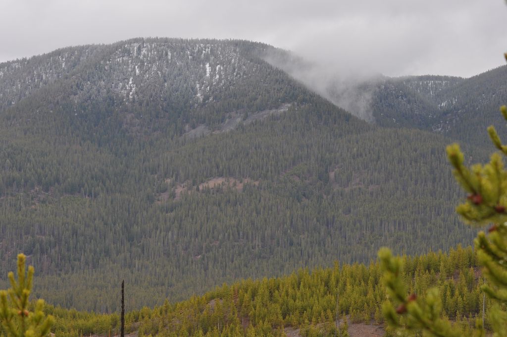 Photo №1 of Purple Mountain