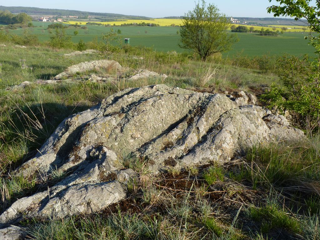Photo №3 of V Dalekých [Znojmo-Popice]