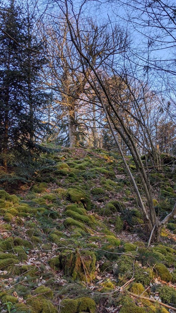 Photo №3 of Rödelsburg