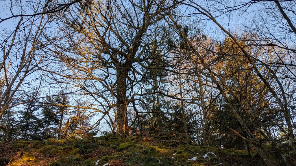 Photo №2 of Rödelsburg