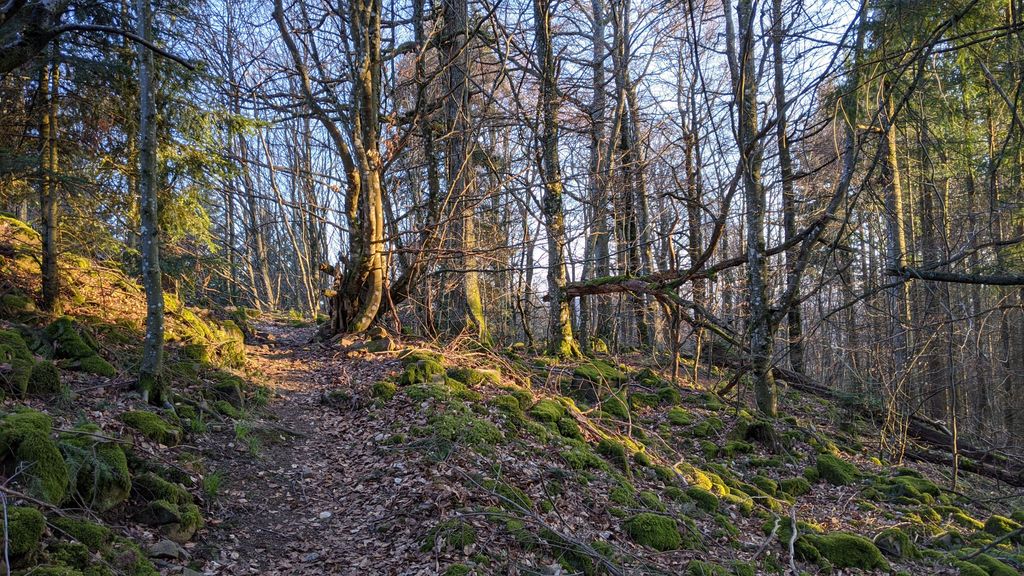 Photo №5 of Rödelsburg