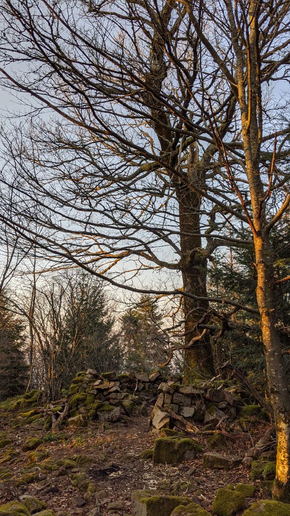 Photo №6 of Rödelsburg