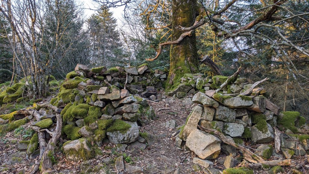 Photo №8 of Rödelsburg