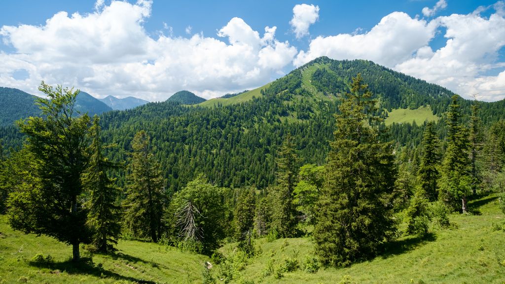 Photo №4 of Rabenkopf