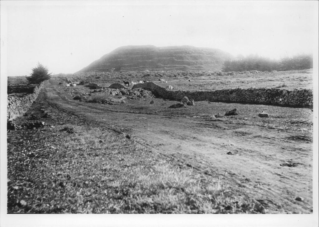 Photo №2 of Mount Smart