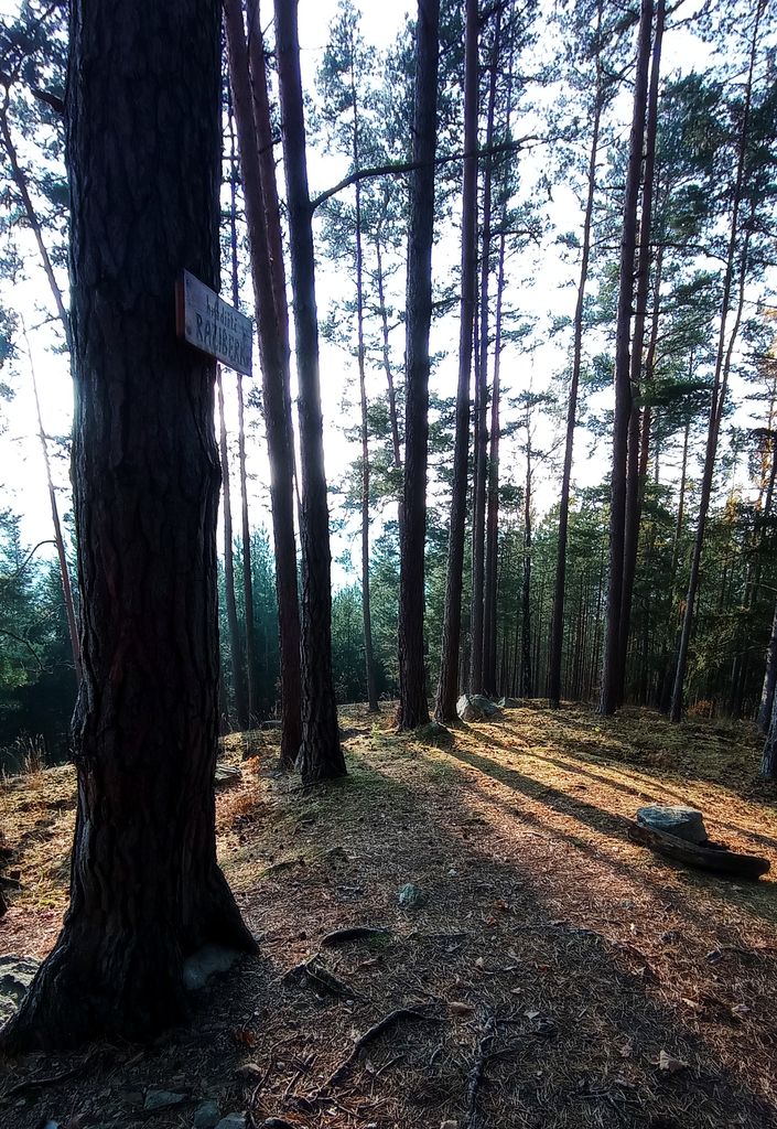 Photo №3 of Radič