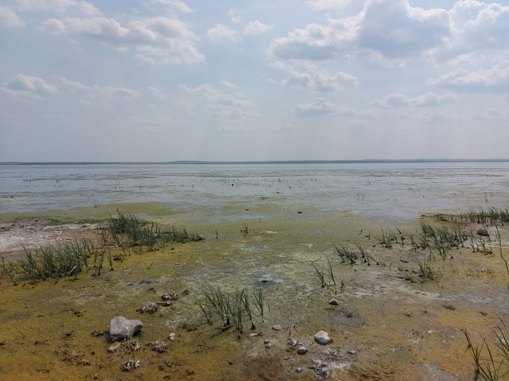 Photo №2 of Reed Lake