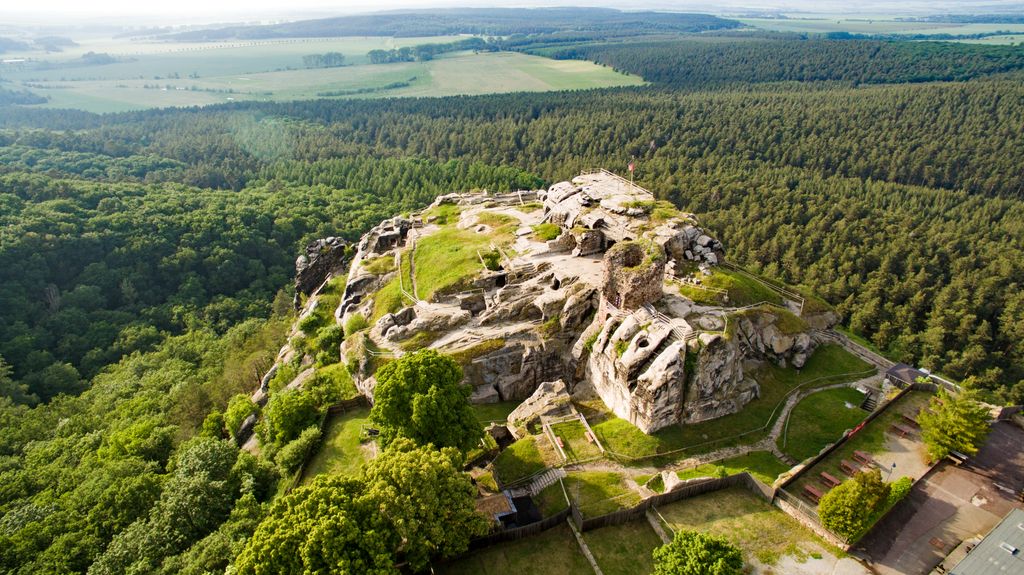 Photo №2 of Regenstein