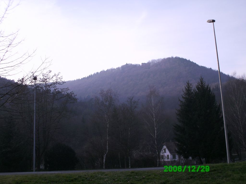 Reisberg
