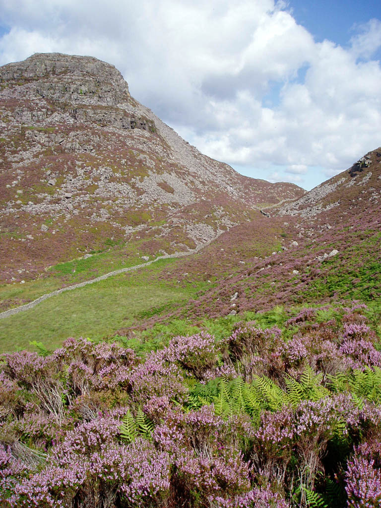 Photo №2 of Rhinog Fawr