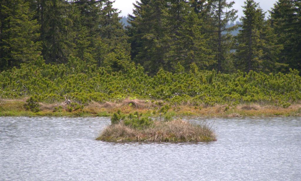 Photo №4 of Ribniško jezero