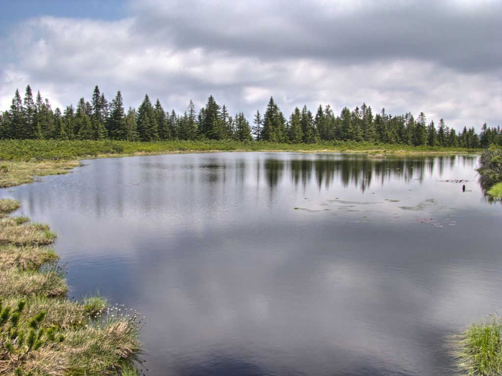 Photo №3 of Ribniško jezero