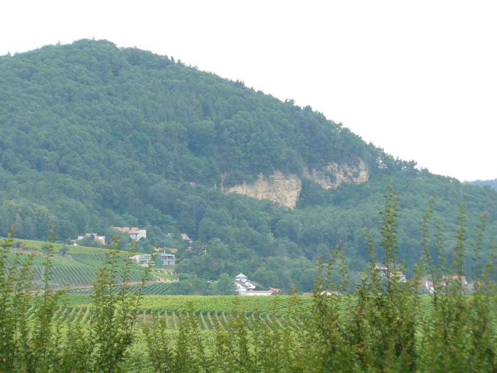 Photo №3 of Ringelsberg