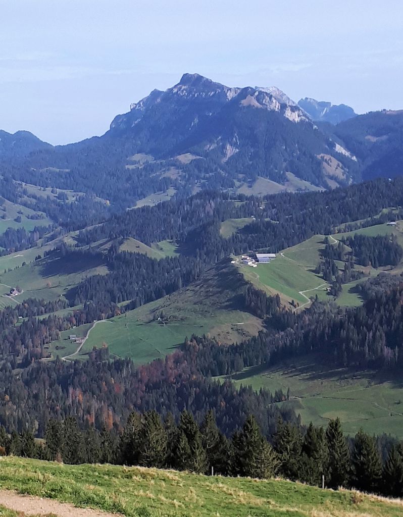 Photo №2 of Risetestock