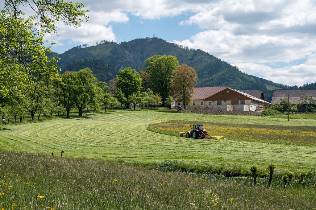 Photo №4 of Wurbauerkogel