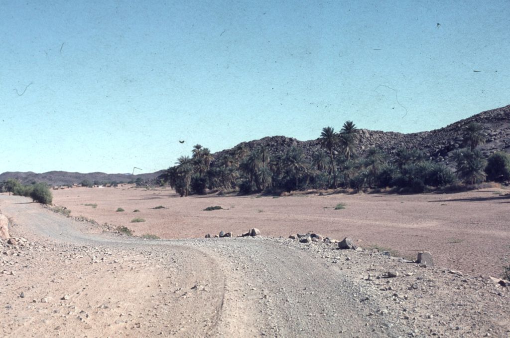 Photo №2 of Tessalit