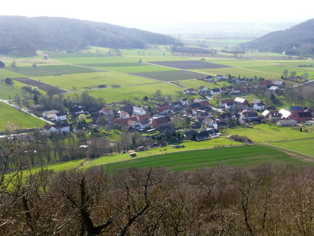 Photo №3 of Streuflingskopf