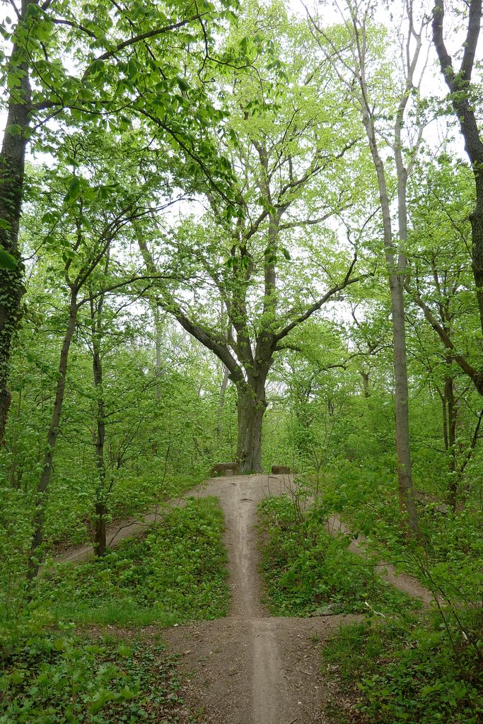 Photo №2 of Wartberg