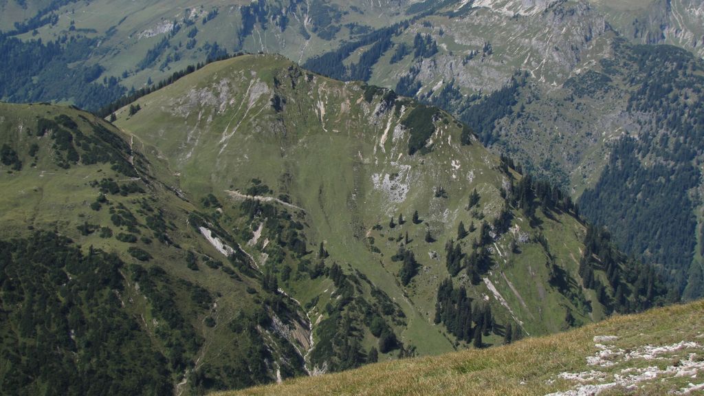 Photo №2 of Rosskopf
