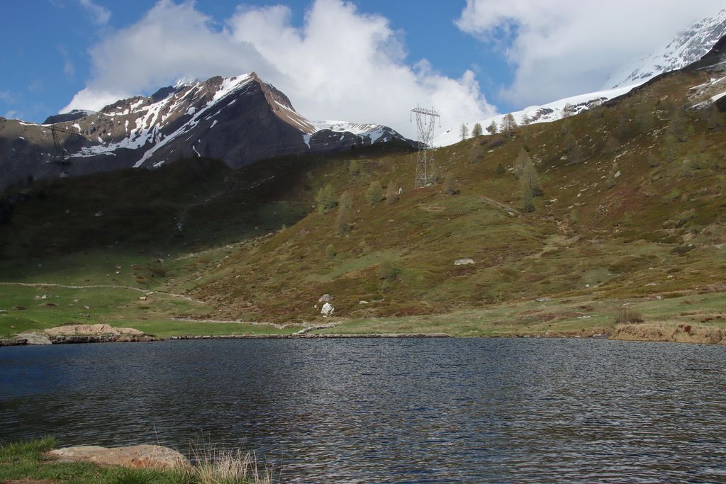 Photo №8 of Rotelsee
