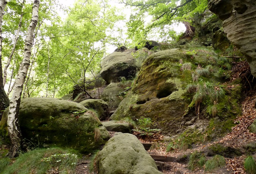 Stiegenwächter