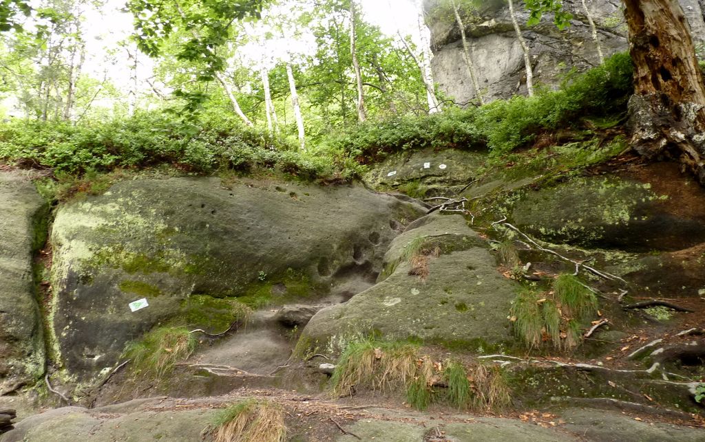 Stiegenwächter